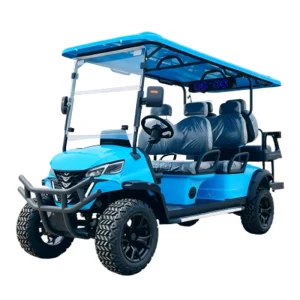Tarion North America Personalized Color Street Legal Electric 6 Seater Golf Cart 90km Range DOT Certified 35KM H US