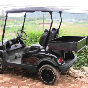 Top Quality New Sport UTV Buggy Trolley Utility Vehicle for Sale Mini Truck Manufacturer Electric Golf Cart Cargo Box