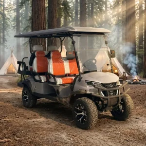 Top Rated Global Shipping 4+2 Seater Electric Golf Cart for Sale