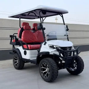 Touch Screen Smart 4 Seat Electric Golf Cart with Touch Screen