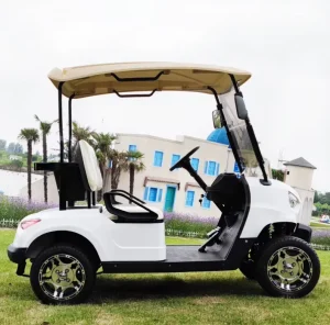 Trustworthy Supplier Electric Custom Golf Cart