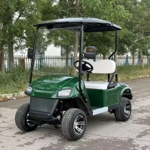 Two seater Electric Golf Cart Available Now