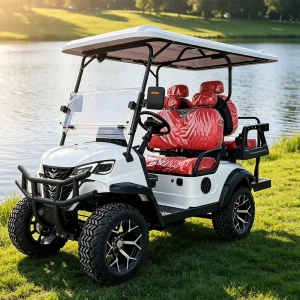 Under 8000 Dollar 4 Seat Electric Golf Cart for Mid Budget