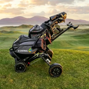 Upgraded 4 Wheel 10 Inch Tires 150kg Capacity 48V 14Ah 1600W Double Drive Aluminium Portable Folding Golf Scooter CE Certified