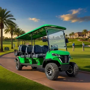 Upgraded 8 Passenger Electric Sightseeing Golf Cart 6+2 8 Seat Dual Brake OEM