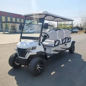 Used 6 Person Off Road Golf Cart Electric Golf Car Electric Car Golf Carts for Non Public Road Use