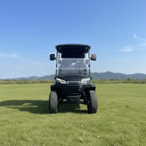Utility Golf Cart 2 Seater 48 Volt Electric Golf Cart with Foldable Windshield for Golf Course