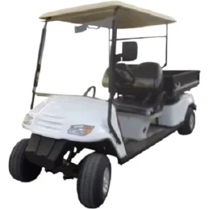 Utility Golf Carts 2 Seater Chinese Vehicle EG2049HCX