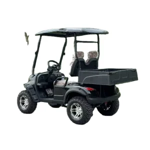 Utility Vehicle 2 Seater Electric Golf Carts Mini Golf Cart Dump Golf Cart Truck With Cargo Box