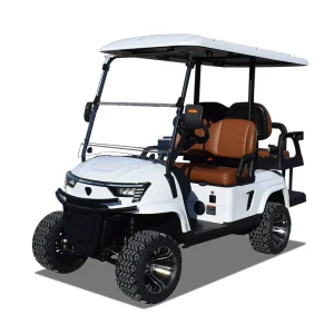 Various Golf Carts Electric Street Legal 48V 72V Golf Cart Car Lithium Battery Powered Electric Golf Cart 4 Seater