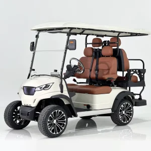 Versatile 48V Electric Golf Carts for Hunting and Recreation