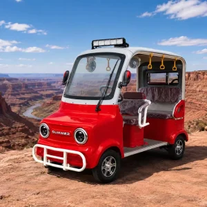 Vintage 4 Seat Electric Street Trolley LED Headlights Spare Tire for Historic District Pedestrian Street Shuttle Service
