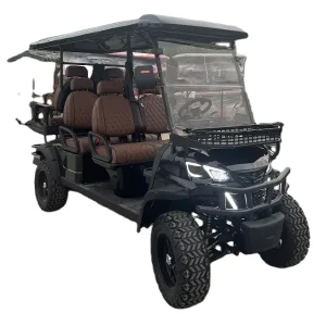 WELIFTRICH Mini Luxury 4 Passenger 6 Seater 8 Seats Antique Electric Classic Golf Cart for Wedding Resort Hotel