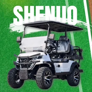 Wheelchair Golf Cart Brands of Golf Carts and Low Price Golf Carts