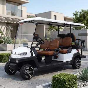 ZYCAR Brand 6 Seater Golf Cart Factory Price Golf Carts Electric Golf Buggy