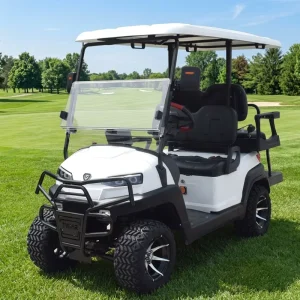 ZYCAR Golf Cart 4 Seater Electric Golf Carts Ce 48V Travel Golf Electric Cart for Sale