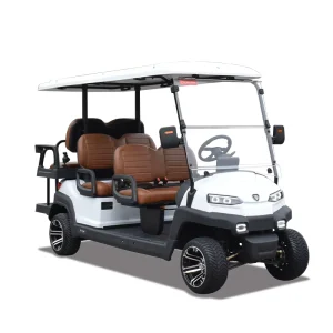 ZYCAR Golf Cart 4+2 Seater Golf Buggy for Sightseeing Cars 6 Seats Electric Golf Cart