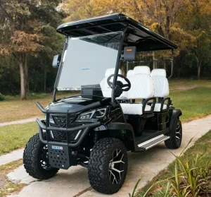 Zero Emission Silent Custom Lithium 4 Passenger Golf Cart Fully Street Legal Cart